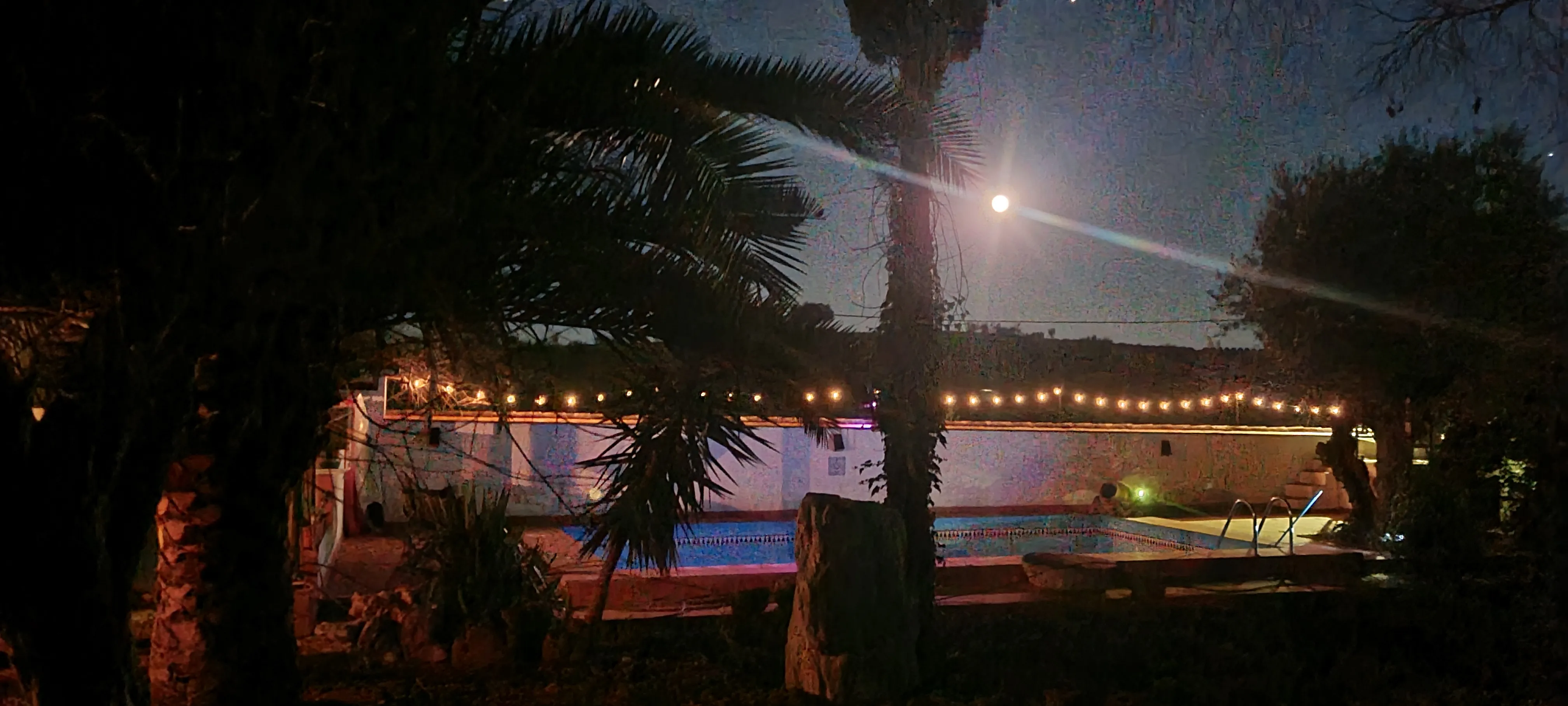 20250114_190821.webp